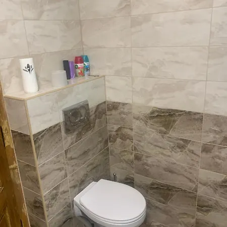 Потічок Guest house Mizhhirya (Transcarpathia)